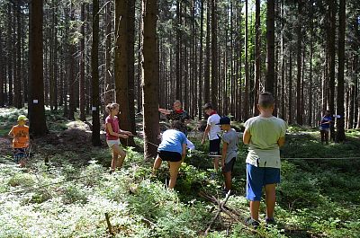 LT Damašek 2017 (Tajuplný ostrov)