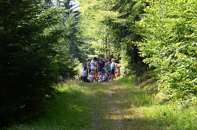 LT Damašek 2017 (Tajuplný ostrov)