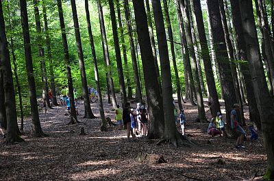 LT Damašek 2017 (Tajuplný ostrov)