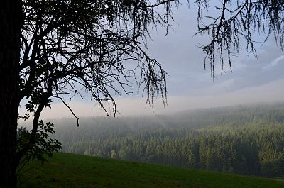 LT Damašek 2017 (Tajuplný ostrov)