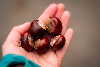 Víkendová akce na Pálavě