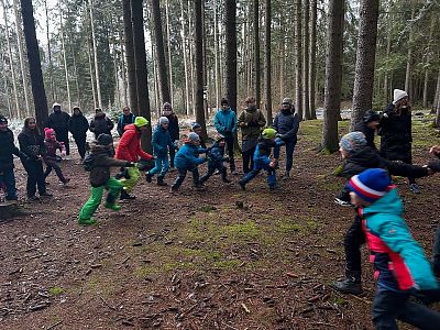 Zdobení stromečku pro zvířátka 2024