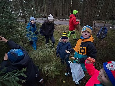 Zdobení stromečku pro zvířátka 2024