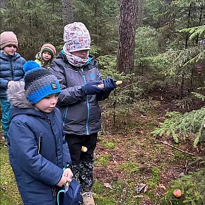 Zdobení stromečku pro zvířátka 2025