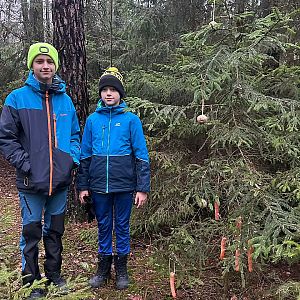 Zdobení stromečku pro zvířátka 2025