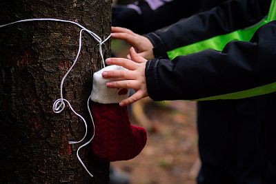 ZOH na Svratouchu 2025