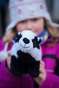 ZOH na Svratouchu 2025