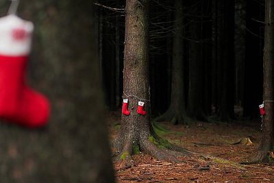 ZOH na Svratouchu 2025