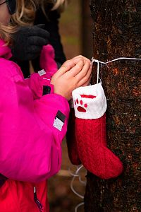 ZOH na Svratouchu 2025